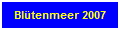Bl&uuml;tenmeer 2013