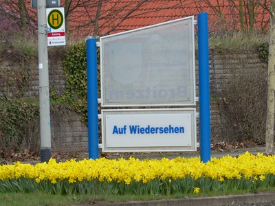 Frühling in Broitzem mit Narzissen_12